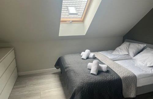 All Season Lasówka - Klimat - Willa 10 osobowa z widokiem na góry, Sauna opalana drewnem, Jacuzzi 4km do Zieleniec SKI Arena - Foto 57