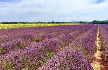 Loft en Provence - Terrasse-Climatisation-Proche Golf et Luberon - Foto 35