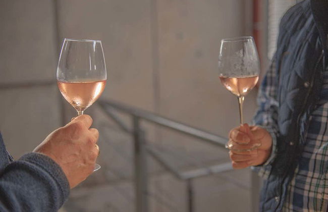 Free tour del vino en El Sauzal - Foto 5