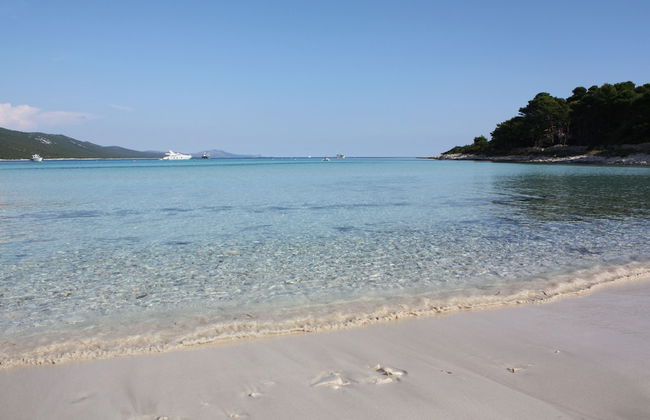 Gorgonia Apartments - Foto 50