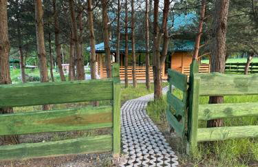 Farma Albert Korzenie - Foto 66