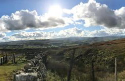 Old Camms Holiday Cottages - Photo 25