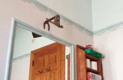 Las casas de Yagüe, Ayllón - Foto 11