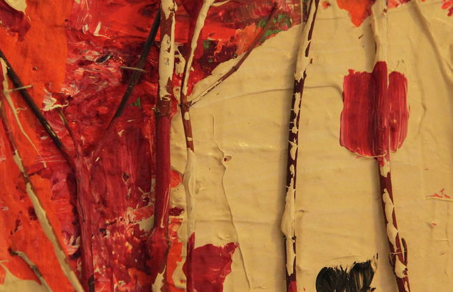 Cozy Apartment in Bergen on Dutch Coast - Foto 40