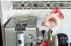 Villa La Musica - Foto 31