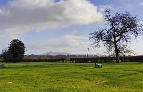 7 Bed in Welshpool oc-96412 - Photo 6