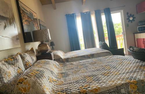 Nice Studio w/ AC near Kehena Beach and lava fields - Foto 6