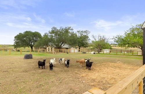Farm Retreat with Jacuzzi, Fire Pit, Mini Goats, Mini Ponies and Mini Cows - Foto 38