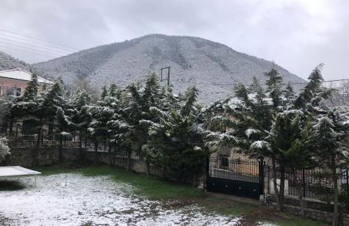 "Orchomenos" Apartment of Levidi Arcadian Apartments - Foto 6