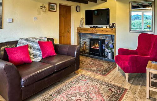 The Swallows - Foto 4