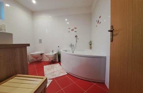 Apartment Peruč with big terrace and beautiful garden - Foto 28