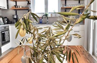 Villa Sidro Krk - Foto 31