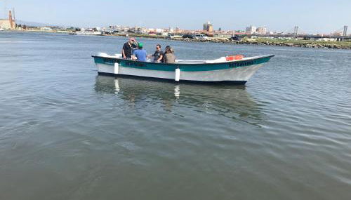 Barcos Casa OstrAveiro - Foto 2