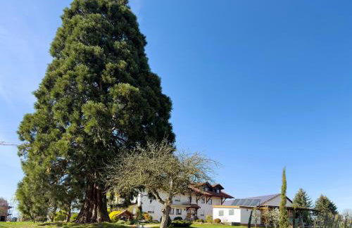 Bergchalet Mirabell - Hofgut - Foto 29