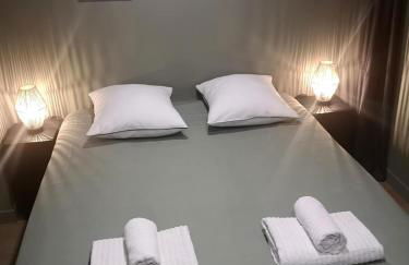 gite Condrieu parking privé - Foto 13