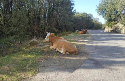 Villa Acqua Doria - Photo 58