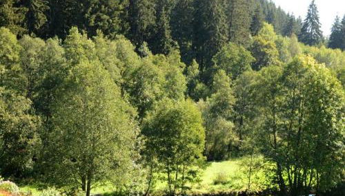 Ferienwohnung im Kupferhammer - Foto 3