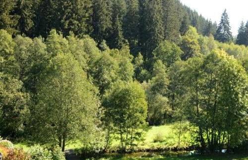 Ferienwohnung im Kupferhammer - Foto 3