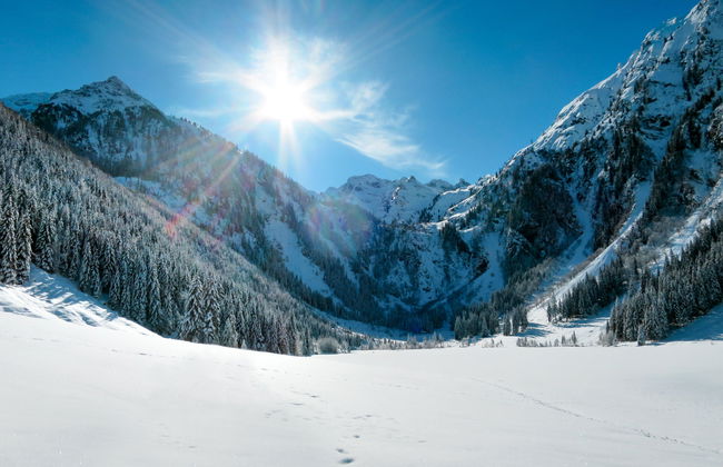 Siedlerhof - Foto 34