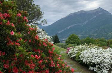 Il Poggio Di Bellagio - Foto 41
