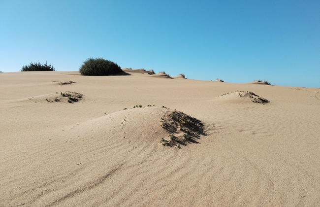 a Vacation That Becomes a Dream - Photo 33