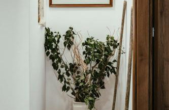 Casa del Maestro - Foto 63