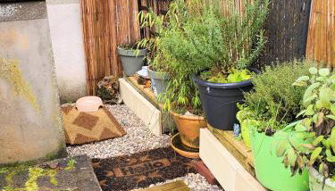 Maison à l'ancienne avec grand terrain , animaux bienvenus - Foto 3