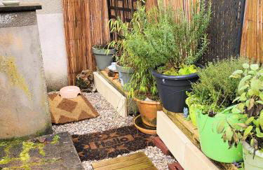 Maison à l'ancienne avec grand terrain , animaux bienvenus - Foto 3