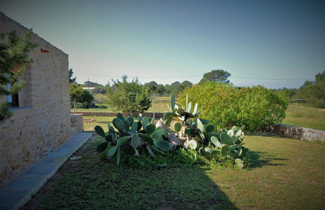 Siamo Bella - Foto 29