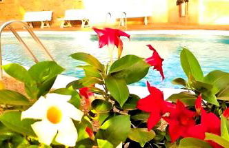 Paradis BEACH & CENTER - Foto 22