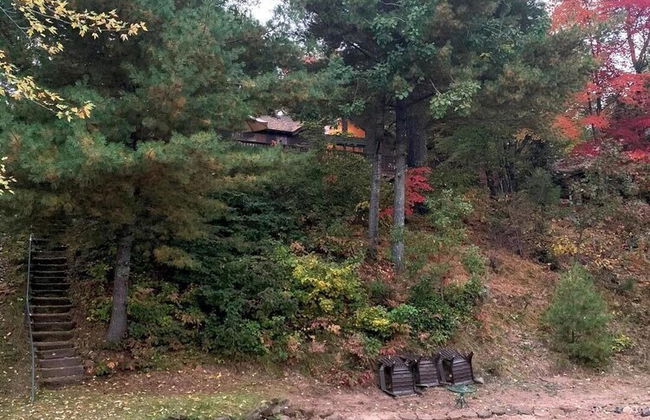 Birch Tree Lodge - Foto 17