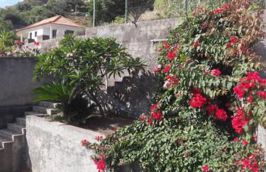 Panoramic Ocean View House - Foto 16