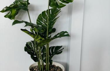 1Gbps Fiber Wi-Fi Walk to Dodger Stdium DTLA 2BR Free Parking Work & Family - Photo 67