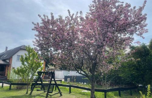 Przystań Korońa nad jeziorem Raduń - Foto 14