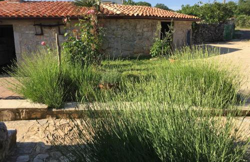 Holiday Home Rasopas - Foto 41