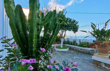 Villa Marunnella - Foto 31