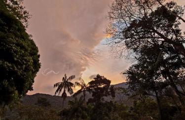 Chalé Gaia - Hospedagem Itatiaia - Photo 47