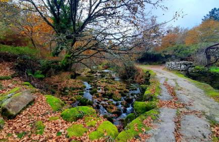 Casa do Charco Peneda Gerês - Foto 35
