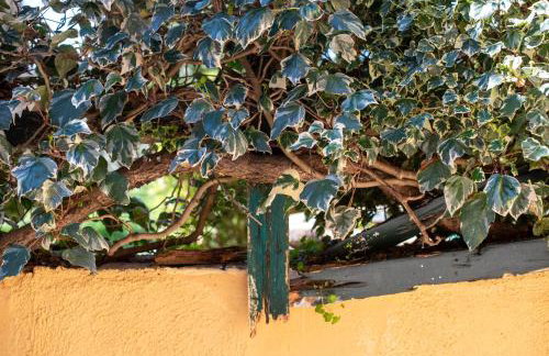 Antiche Dimore Del Vescovado - Foto 44