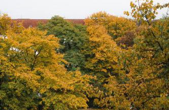 Modern, ruhig, gemütlich: 2 Zimmer Wohnung in bester Lage nahe Alster + Stadtpark - Foto 35