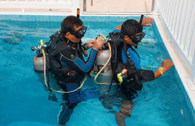 Scuba Diving in Cozumel - Photo 6