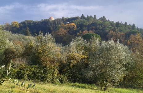 La Casetta di Barbara - Foto 38