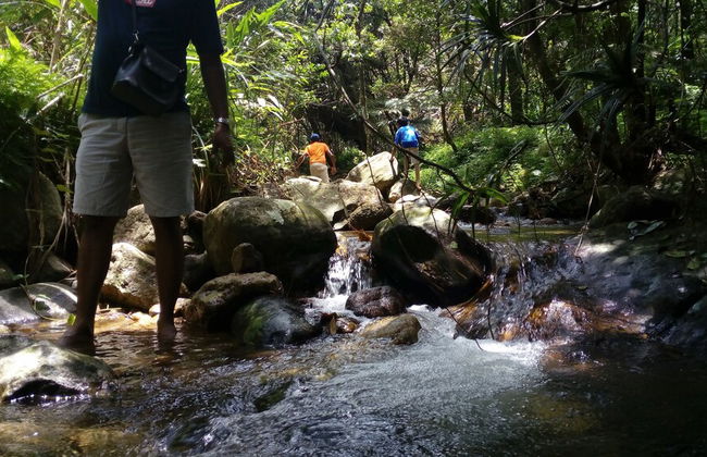 Castle palace kandy - Foto 33