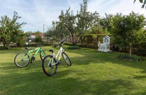 Castellano Vasiliki - Foto 23