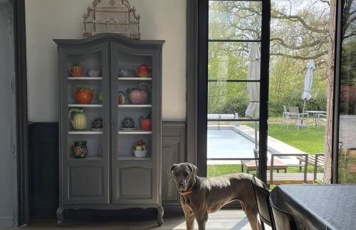 La gare aux oiseaux - Foto 7