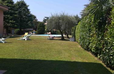 Prato Verde - Girasole - Foto 21