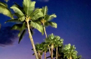 Compass Blue Lahaina - Foto 14