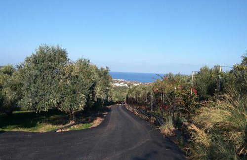 House of Polymnia - Photo 3