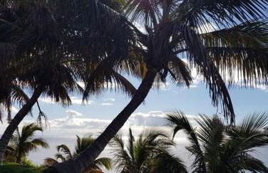 CASA PAPAGAYO - Foto 22