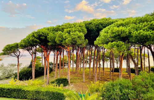 Tenuta Clementino - Foto 65